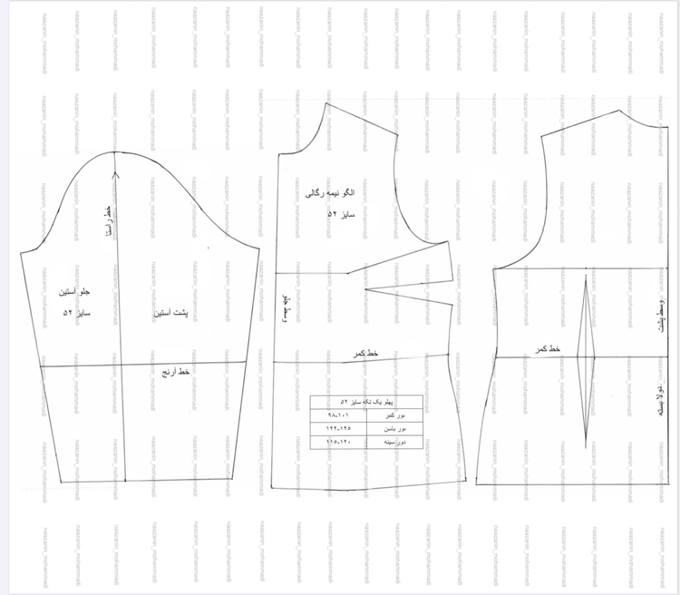 الگوی نیمه رگالی